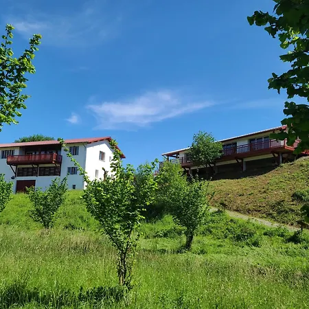 La Noisette Basque - Nuits Au Verger * Saint-Pee-sur-Nivelle